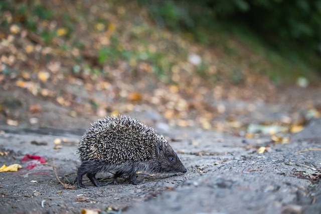 震惊+1！美记：我本以为保罗是快船队史首个退役球衣的球员