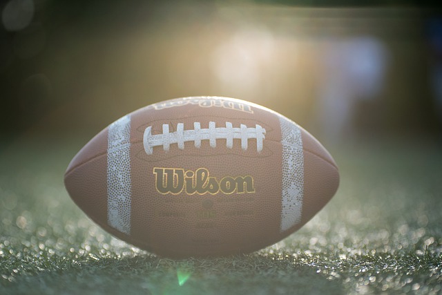 京港体育文化交流座谈会在北京举行，共话两地体育文化交流